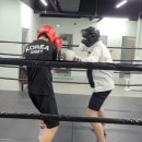 박달복싱 이미지