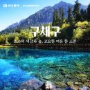 미루트래블