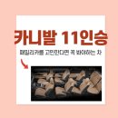 동일카인테리어 | 카니발 11인승, 패밀리카를 고민한다면 꼭 봐야하는 차