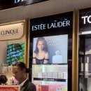 THE힘찬동물병원 | 25DAY] 아프리카 패키지 여행후기 12일차 : 짐바브웨 빅토리아폴스🇿🇼(The Shrub Lodge Hotel, 빅토리아...