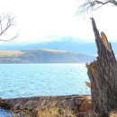 아미스카페 | [뉴질랜드여행] 7월 뉴질랜드 여행 남섬 3일차 퀸스타운에서 애로우타운 당일치기, 아미스필드 와이너리