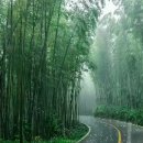 21세기공인중개사사무소 이미지