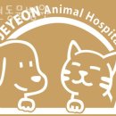 제연동물병원 이미지