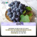홍주보석 네이버블로그