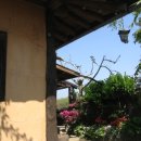 옛집황토방 이미지