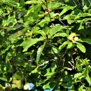 청사포정거장 이미지