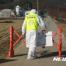 천안메추리농장 이미지