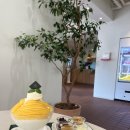 [광주과일가게] 신라호텔st 망고빙수 ‘읻다(itda)’ 방문 후기