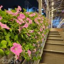 육교PC방 이미지