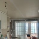 한동그린 이미지