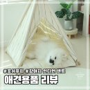 포쉬펫 | 강아지 인디언 캠핑 텐트 포쉬푸치 하우스