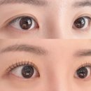 에이벨 | 대구 교동 속눈썹펌 에이벨뷰티 짧은 속눈썹 바짝컬 후기