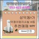 청아람삼정공인중개사사무소 이미지