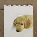 드로잉(소묘) & 스케치 이미지