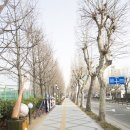 류현진 거리 이미지