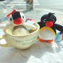 주식회사 뿅뿅닷컴 이미지