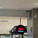 뉴코아아울렛 | 폴바셋 뉴코아 아울렛 강남점 메뉴 | 아이스크림 라떼 후기