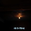 (주)텔릭스 | 겨울당근 넷