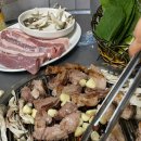 돈아돈아 이미지