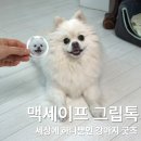 엘제이 | 강아지 그립톡 맥세이프 제작 만들기, 하나뿐인 반려동물 굿즈 엘제이메이드 주문제작케이스 후기