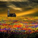 초원꽃집 이미지