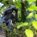 기동반-29 이미지