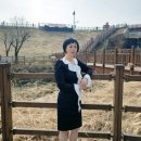 황세곡 Daum카페