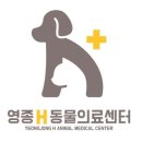 영종H동물의료센터