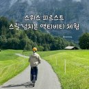 안도웰빙체험장(안도마을) | 스위스 피르스트 액티비티 | 플라이어 · 글라이더 · 카트 · 바이크, 오픈런 · 가격 · 패키지 후기