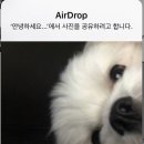 성수아베크뮤직아카데미학원 이미지
