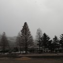 옥룡북초등학교 이미지