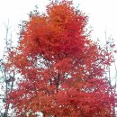 대화농업체험공원 이미지