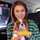 가희슈퍼 이미지