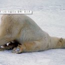 목스녹스 이미지