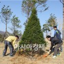 벌교숲공원 이미지