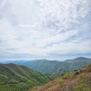 선명사슴농장 이미지