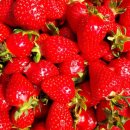 매골농장 이미지