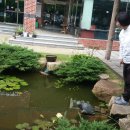 통도사자비원 이미지