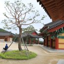 산청에가면 이미지