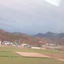 의성마늘카센타