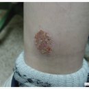 메어리벳의원 이미지