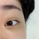 파리바게뜨 포항양덕점 | 포항 양덕 속눈썹 펌 잘하는 블룸앤글로우 방문후기