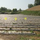 전재원공인중개사사무소 이미지