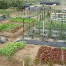 수민농장 이미지