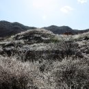 관동마을 앞 이미지