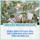 김형삼 이미지