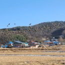 솔소리농장 이미지