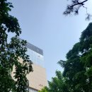 스타일지움 - 강남구 도산대로25길 5 | 스타일지움
