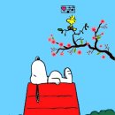 북정근린공원 이미지