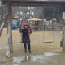 안현농장 이미지